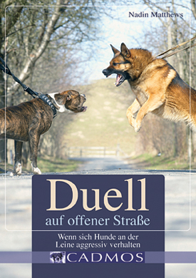 Duelle auf offener Strasse